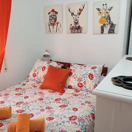 شقة Apartamento Con Encanto 'Larios Studio' مالقة المظهر الخارجي الصورة
